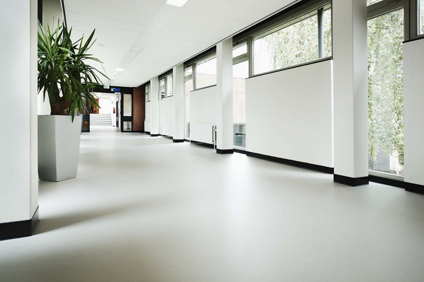 wineo Purline Bioboden Rollenware weiß modern hell Korridor große Glasfenster Klinikum