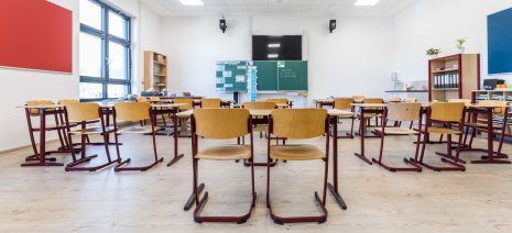 wineo PURLINE Bioboden Schule Klassenzimmer Holzoptik