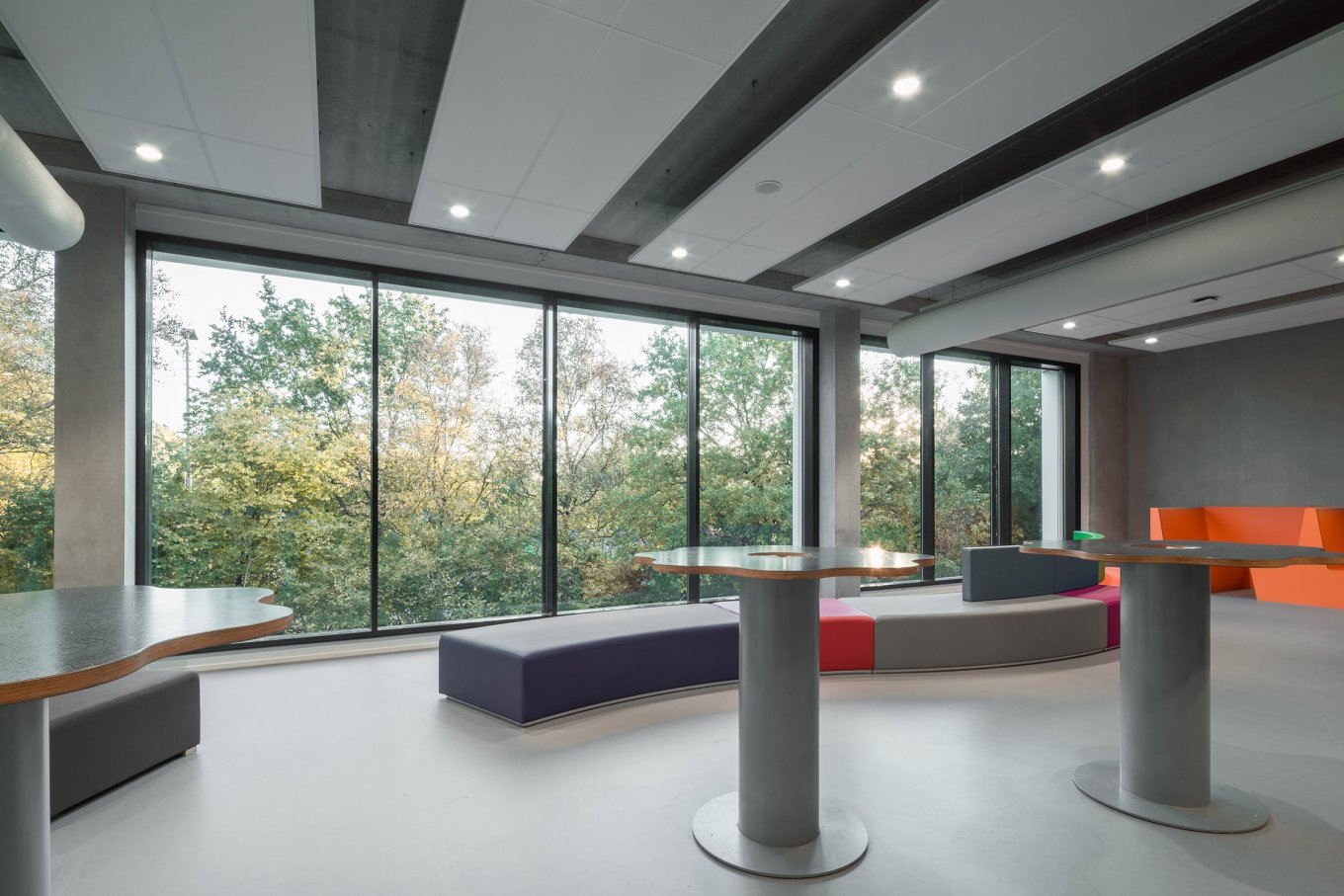 wineo Purline Bioboden Rollenware grau groß hell Sitzecke Glasfenster
