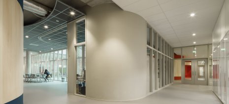 wineo Purline Bioboden Foyer groß modern hell Türen