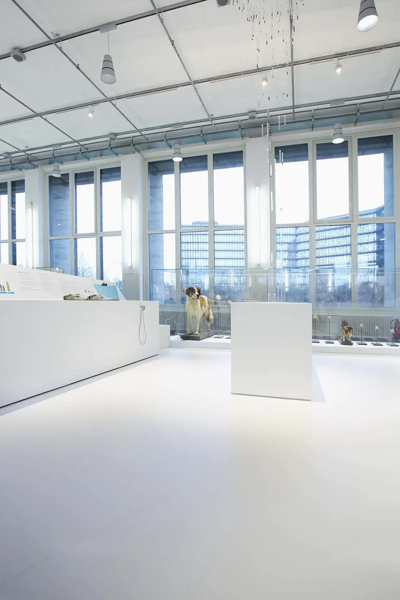 wineo Purline Bioboden  wineo Purline Bioboden Rollenware weiß hell Ausstellung Museum Glas