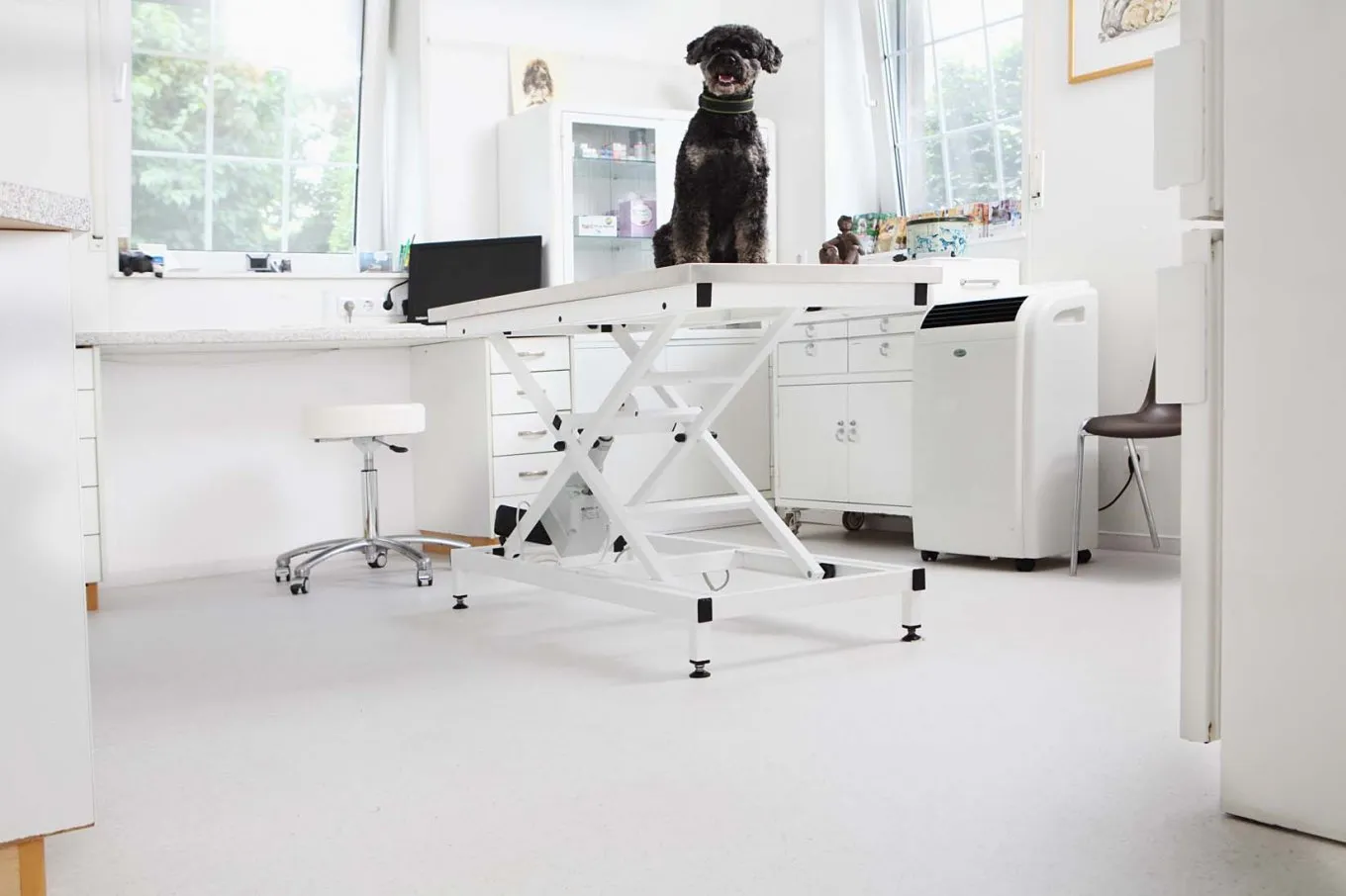 wineo PURLINE Bioboden mit schwarzem Hund auf weißem Behandlungstische in einer Tierarzrpraxis