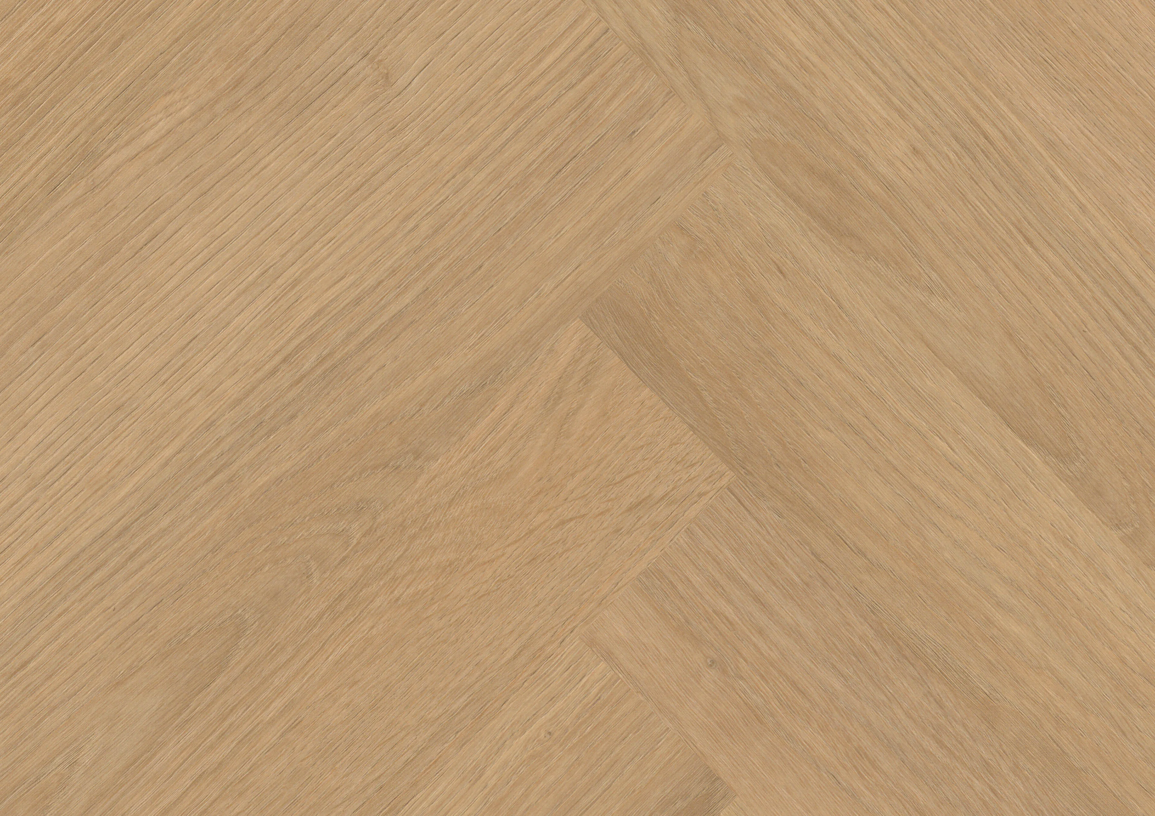 Siena Oak Honey
