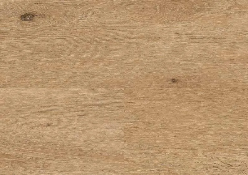 Designboden wineo 400 Country Oak Nature DB294WXL in XL-Plankenformat und Eiche-Design