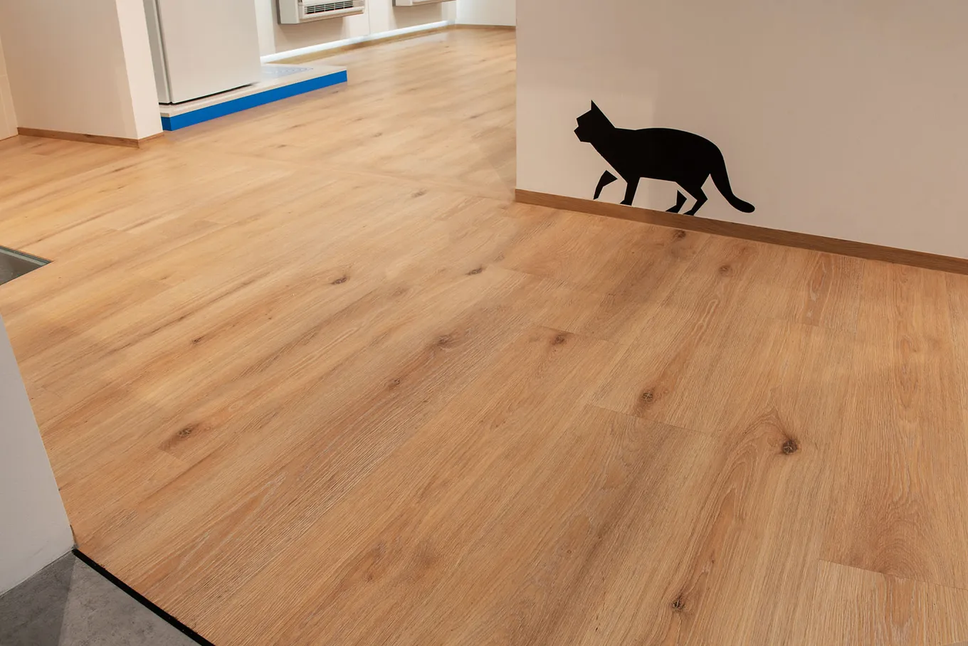 Nowoczesne podłogi do domu, biura, sklepu