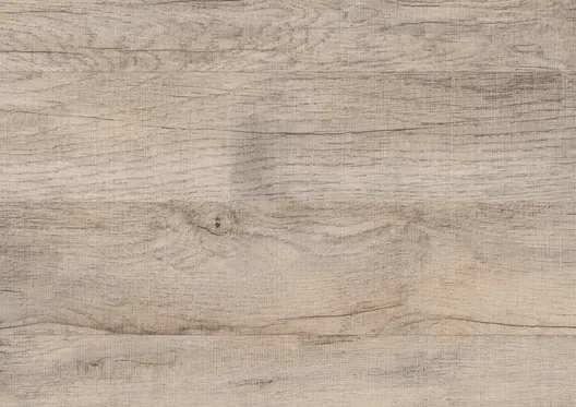 Storm Oak