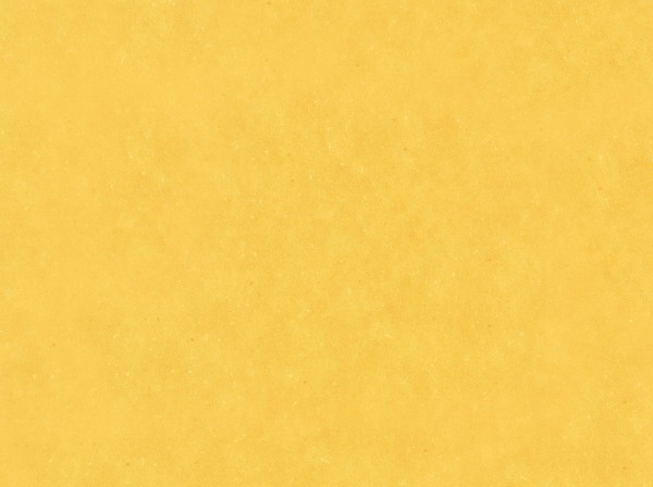 Detail_PLR128C_Honey_Mustard.jpg
